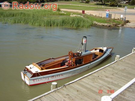 Steamboat Flaming Galah - Picture 2