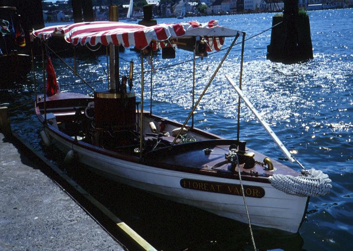 Steamboat Floreat Vapor - Picture 1