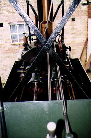 Dampfboot Merganser - Bild 4