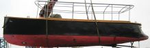 Steamboat Moa
