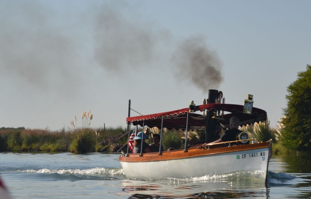 Steamboat Shenandoah - Picture 1 - taken by Wesley Harcourt